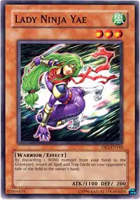 Lady Ninja Yae