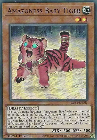 Amazoness Baby Tiger