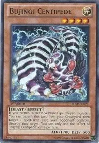 Bujingi Centipede
