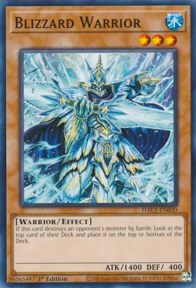 Blizzard Warrior