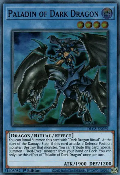 Paladin of Dark Dragon