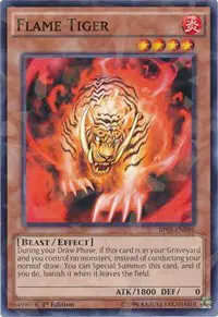 Flame Tiger