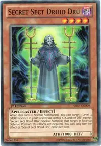 Secret Sect Druid Dru