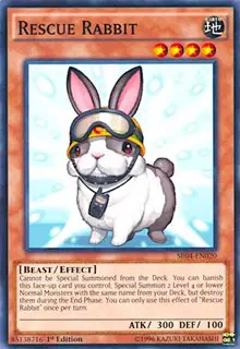 Rescue Rabbit