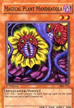 Magical Plant Mandragola