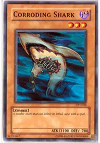 Corroding Shark