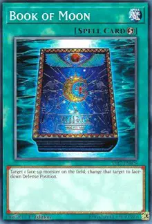 Book of Moon
