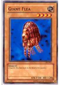 Giant Flea