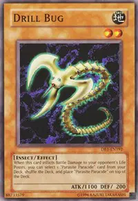 Drill Bug