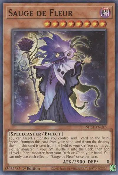 Sauge de Fleur