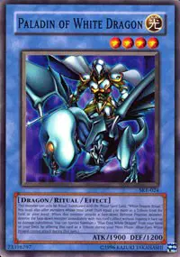 Paladin of White Dragon