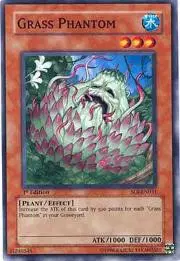 Grass Phantom
