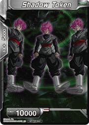 Shadow Token