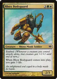 Rhox Bodyguard