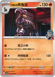 Team Rocket's Houndoom