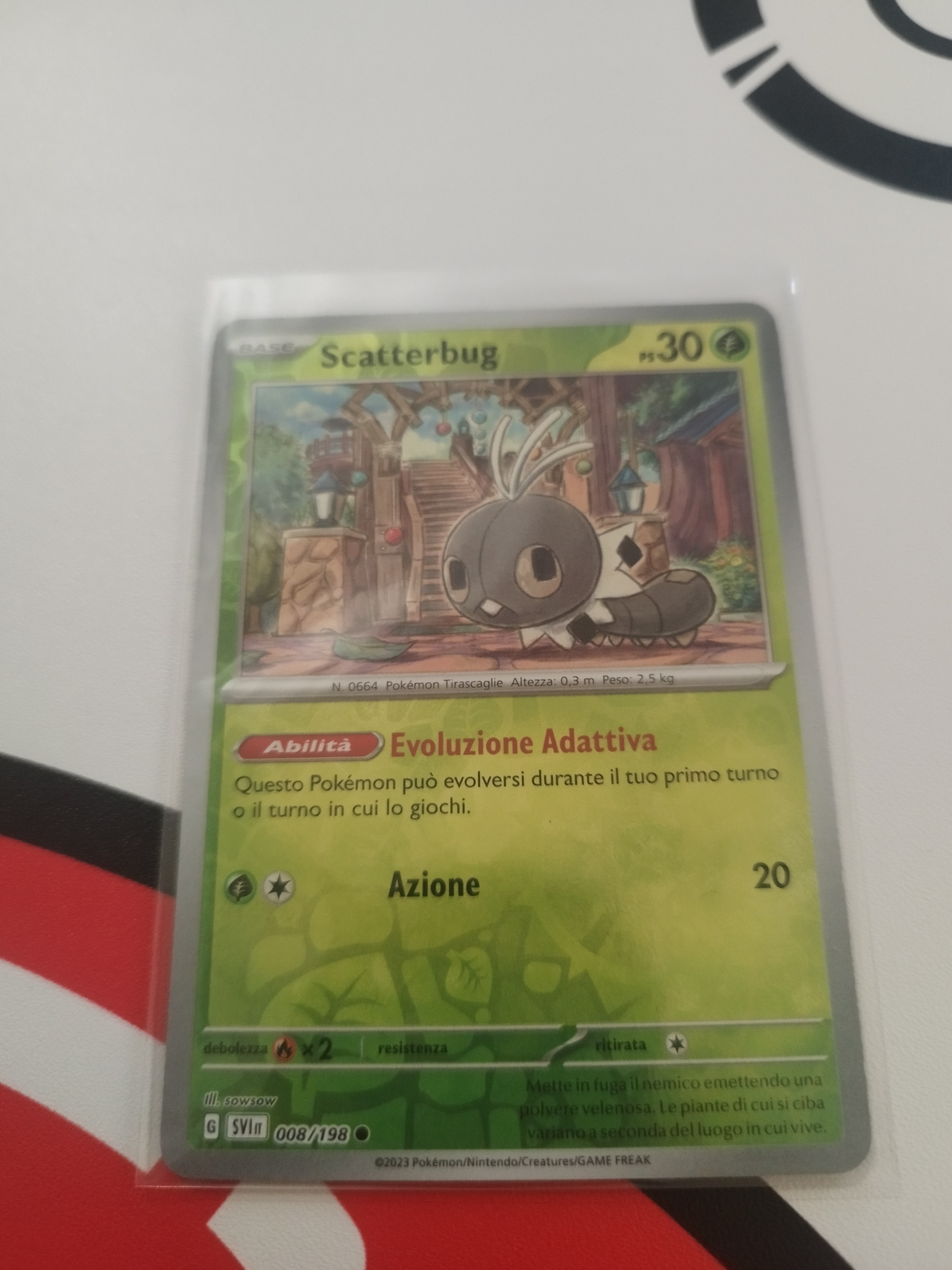 Auction Image 2