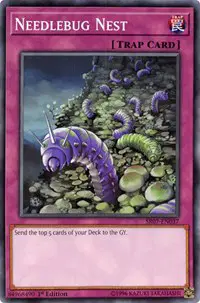 Needlebug Nest
