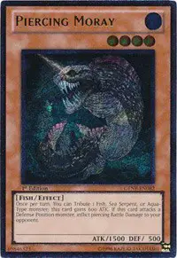 Piercing Moray