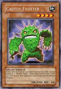 Cactus Fighter