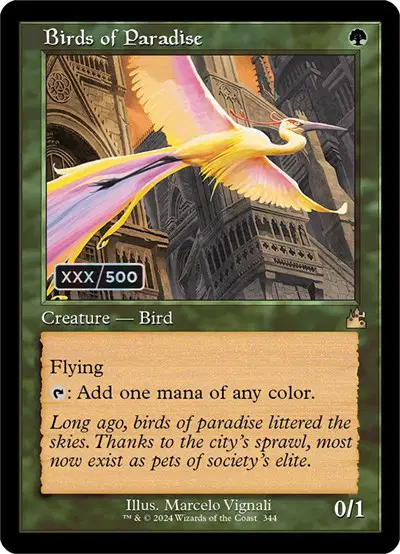 Birds of Paradise