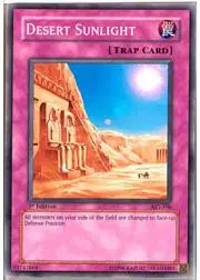 Desert Sunlight