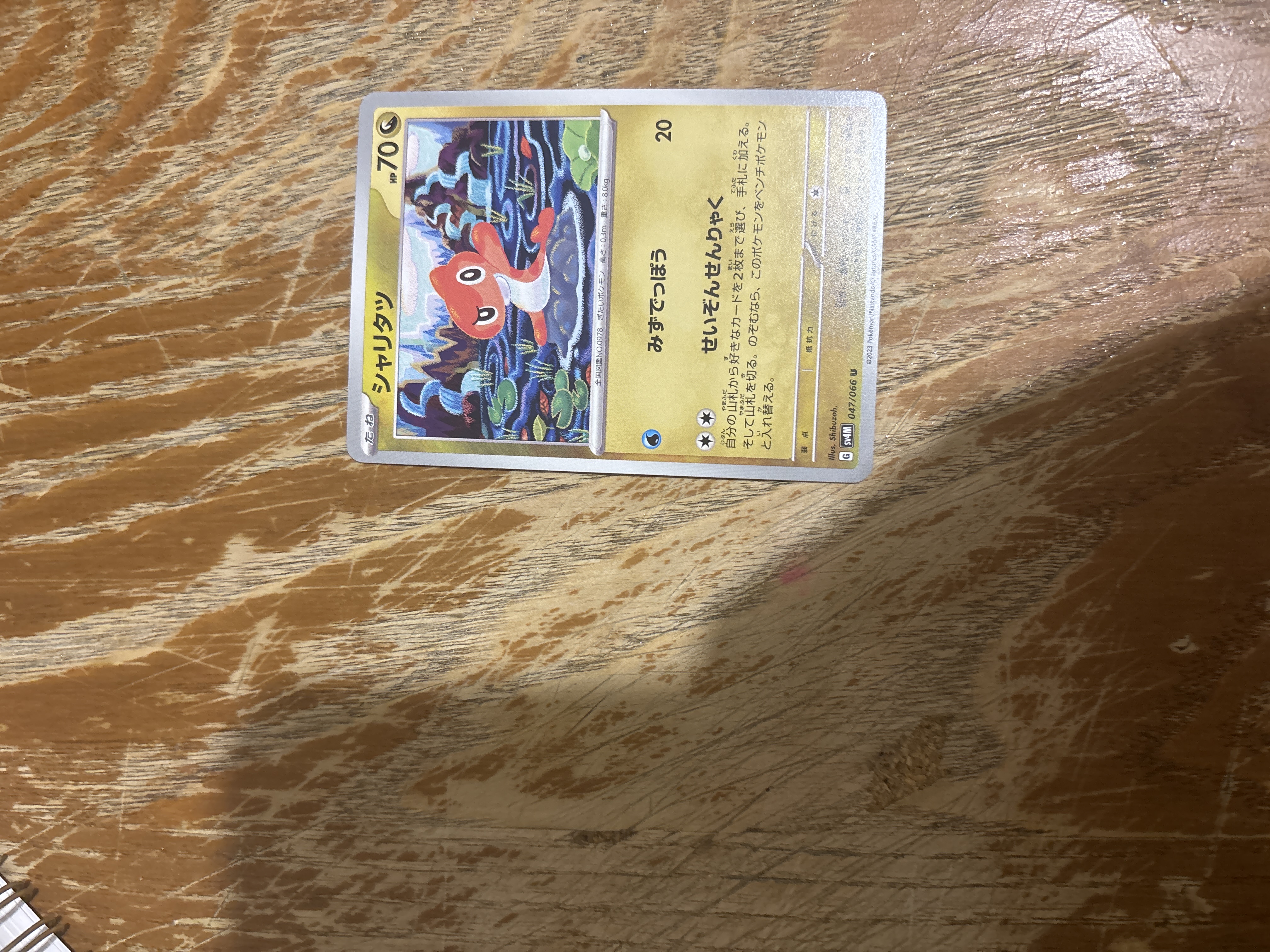 Auction Image 1