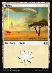 Plains