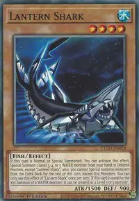 Lantern Shark