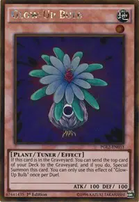 Glow-Up Bulb