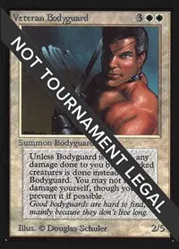 Veteran Bodyguard