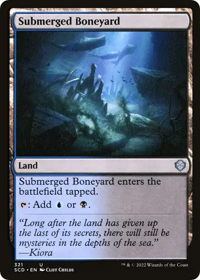 Submerged Boneyard