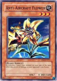 Anti-Aircraft Flower