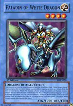 Paladin of White Dragon