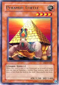 Pyramid Turtle