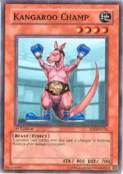 Kangaroo Champ