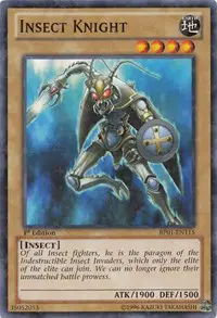 Insect Knight