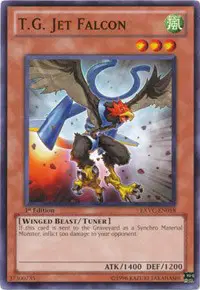 T.G. Jet Falcon