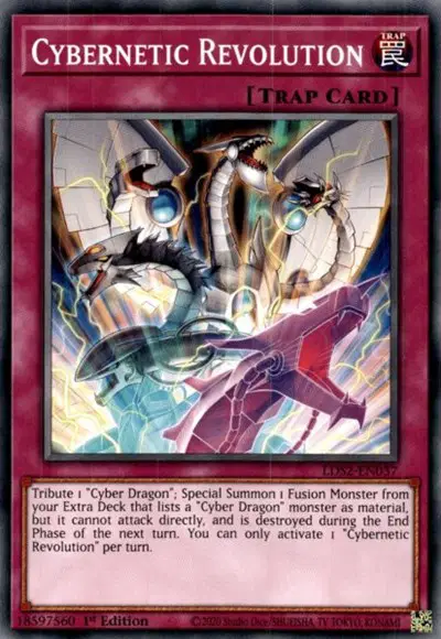 Cybernetic Revolution