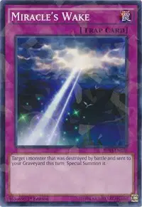 Miracle's Wake