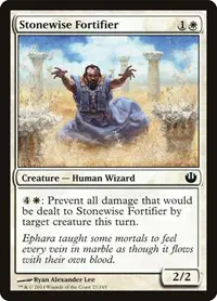 Stonewise Fortifier