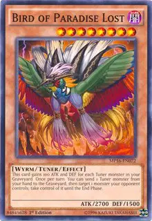 Bird of Paradise Lost