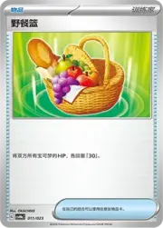 Picnic Basket