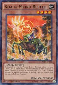 Koa'ki Meiru Beetle