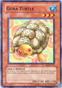 Gora Turtle