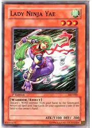 Lady Ninja Yae