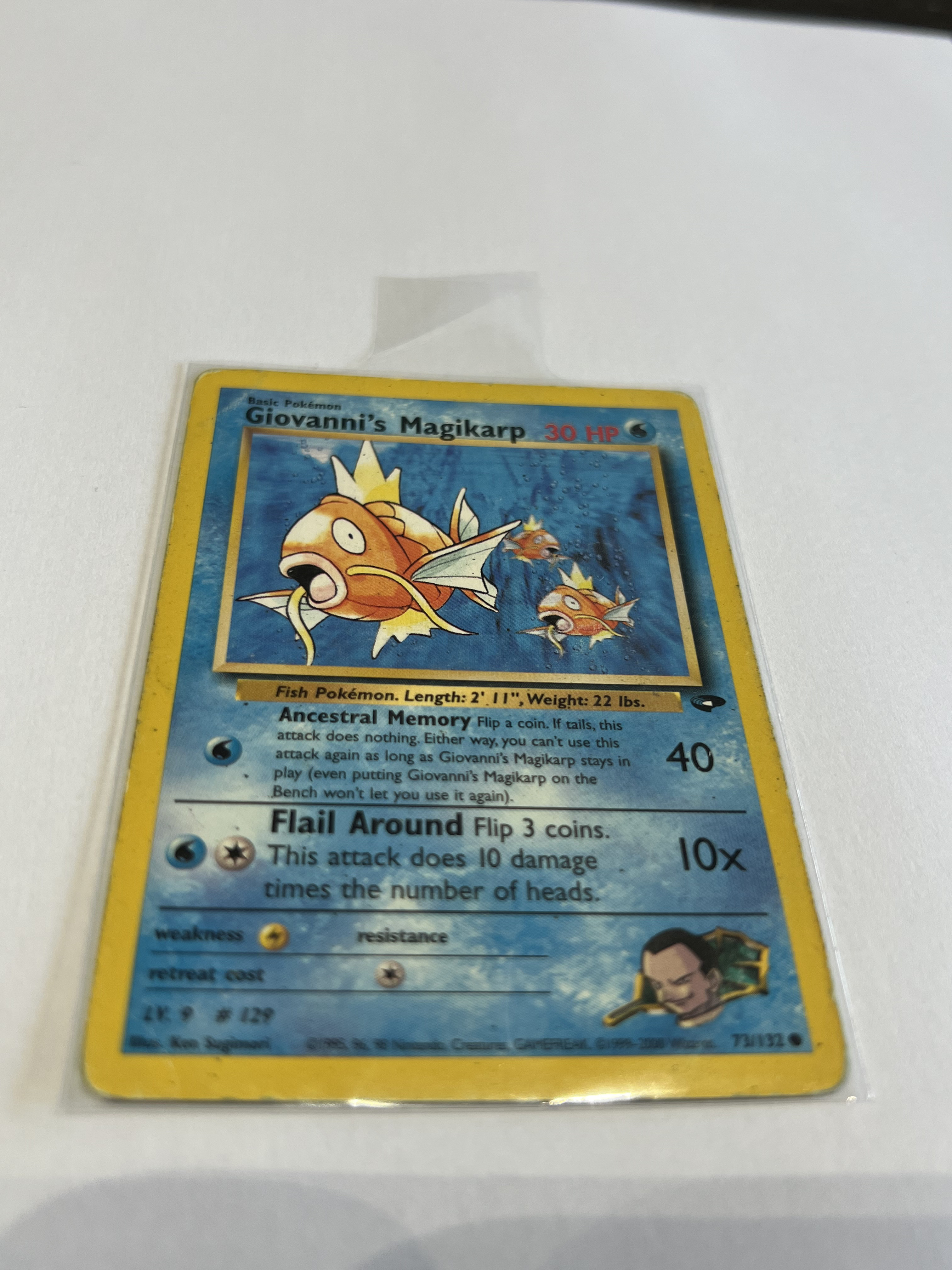 Auction Image 2