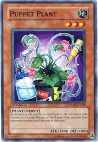 Puppet Plant
