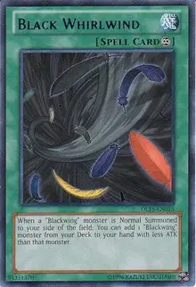 Black Whirlwind