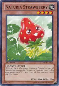 Naturia Strawberry