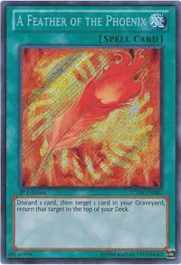 A Feather of the Phoenix